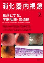 消化器内視鏡 10年6月号 (発売日2010年06月25日) 表紙