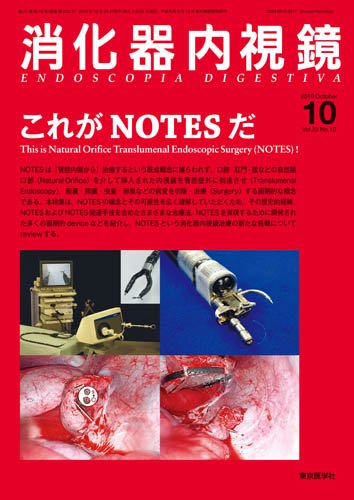 消化器内視鏡 10年10月号 (発売日2010年10月25日) 表紙