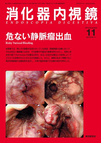 消化器内視鏡 10年11月号 (発売日2010年11月25日) 表紙
