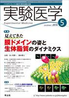 実験医学 Vol.28No.8 (発売日2010年04月20日) 表紙
