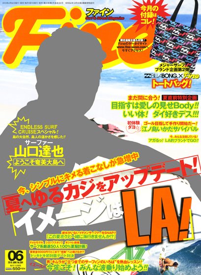 Ｆｉｎｅ（ファイン） 384 (発売日2010年04月30日) 表紙