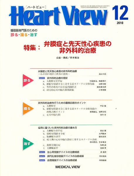 Heart View（ハートビュー） 2010年12月号 (発売日2010年11月10日) 表紙
