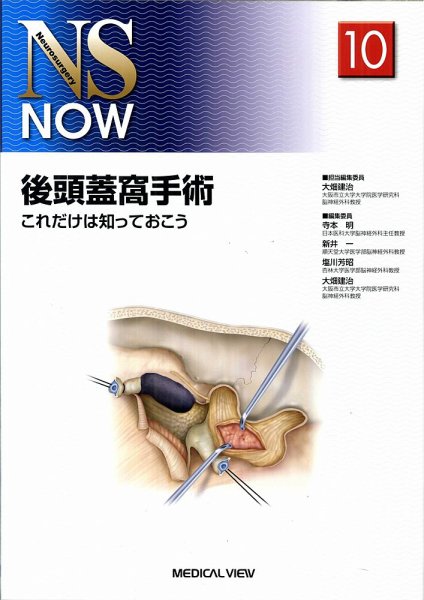NS NOW No.10 (発売日2010年04月30日) 表紙