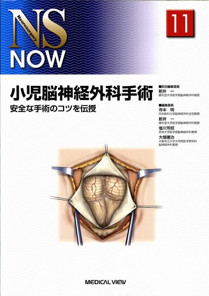 NS NOW No.11 (発売日2010年08月10日) 表紙