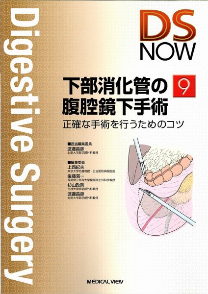 DS NOW（ディーエス ナウ） No.9 (発売日2010年07月10日) 表紙