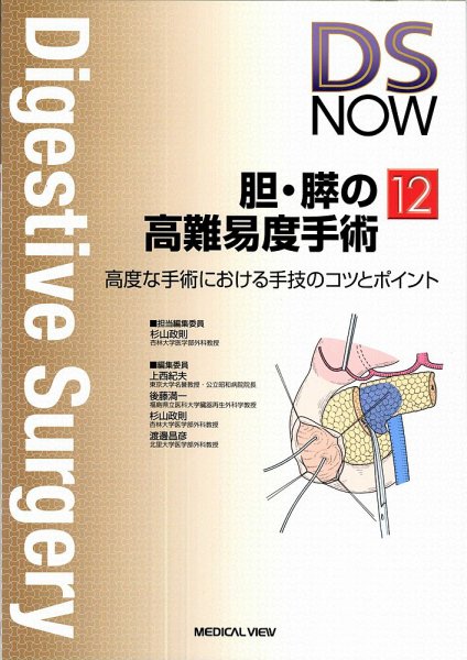 DS NOW（ディーエス ナウ） No.12 (発売日2011年01月25日) 表紙