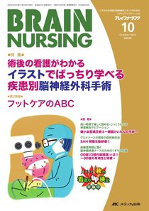 BRAIN NURSING（ブレインナーシング） 10月号 (発売日2010年09月22日) 表紙