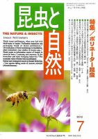 昆虫と自然 7月号 表紙