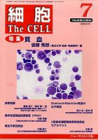 細胞 7月号 表紙