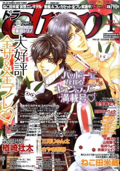 drap（ドラ） 1月号 (発売日2010年11月30日) 表紙