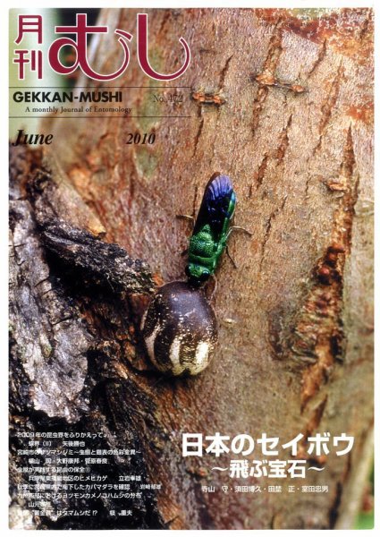 月刊むし 472 (発売日2010年05月21日) 表紙