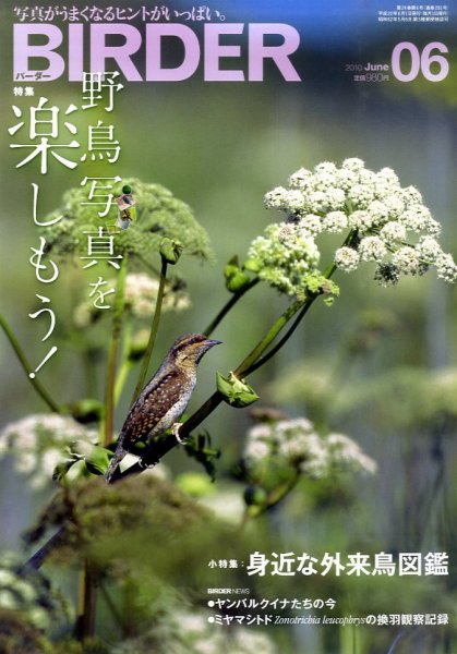 BIRDER（バーダー） 2010年6月号 (発売日2010年05月15日) 表紙