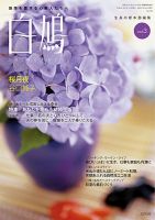 白鳩 vol.3 表紙