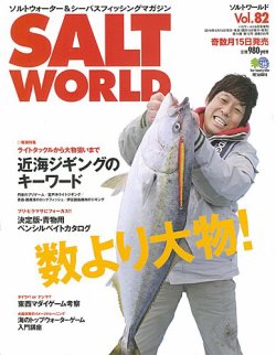 SALT WORLD（ソルトワールド） Vol.82 (発売日2010年05月15日) 表紙