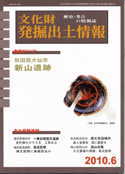 文化財発掘出土情報 6月号 (発売日2010年06月01日) 表紙