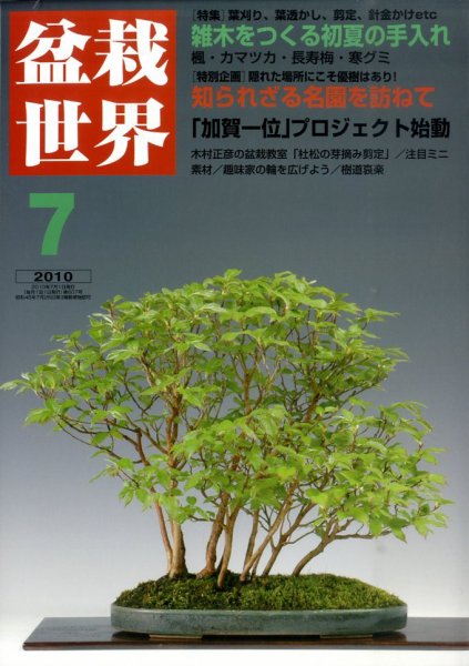 盆栽世界 7月号 (発売日2010年06月05日) 表紙