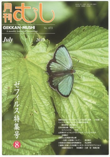 月刊むし 473 (発売日2010年06月22日) 表紙