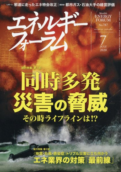 エネルギーフォーラム 2010年07月02日発売号 表紙