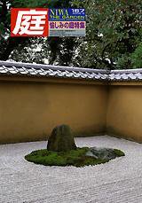 庭 157号 (発売日2004年05月01日) 表紙