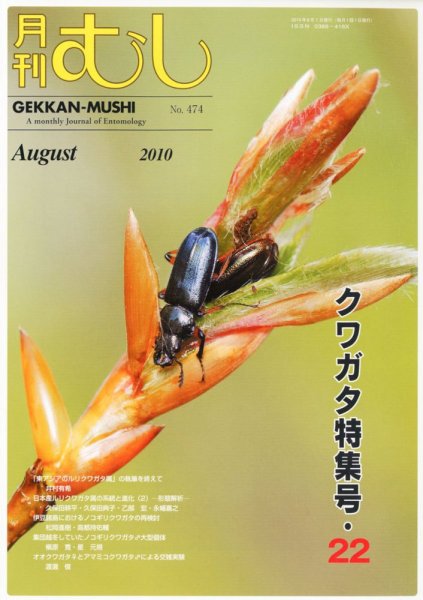 月刊むし 474 (発売日2010年07月23日) 表紙