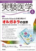 実験医学 Vol.28No.13 (発売日2010年07月20日) 表紙