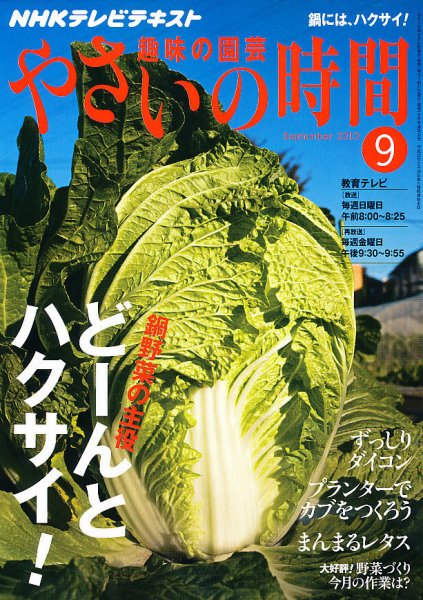 NHK 趣味の園芸 やさいの時間 9月号 (発売日2010年08月21日) 表紙