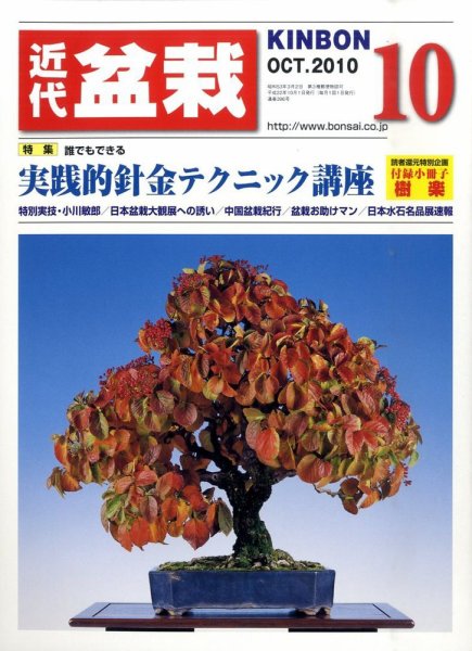 月刊 近代盆栽 10月号 (発売日2010年09月04日) 表紙