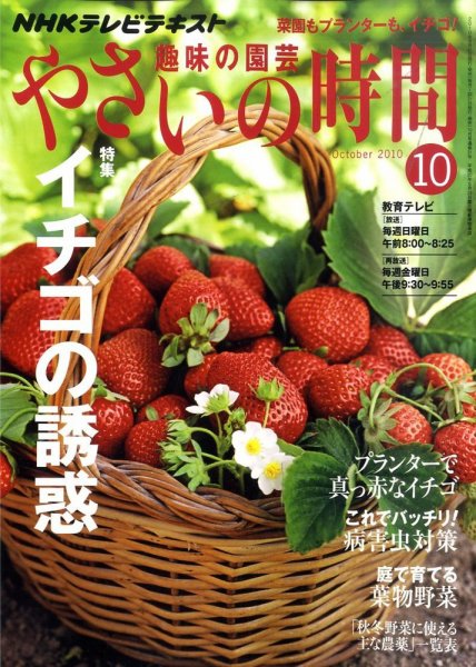 NHK 趣味の園芸 やさいの時間 10月号 (発売日2010年09月21日) 表紙