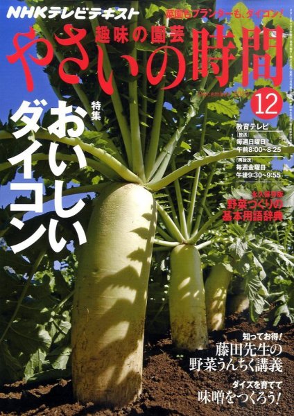 NHK 趣味の園芸 やさいの時間 12月号 (発売日2010年11月20日) 表紙