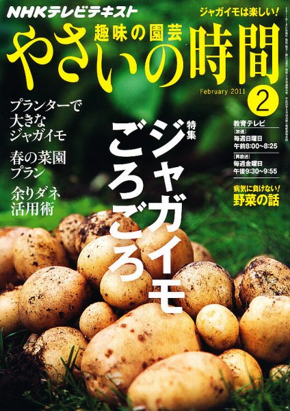 NHK 趣味の園芸 やさいの時間 2月号 (発売日2011年01月21日) 表紙