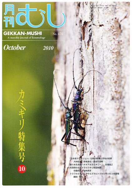 月刊むし 476 (発売日2010年09月22日) 表紙