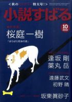 小説すばる 10月号 表紙