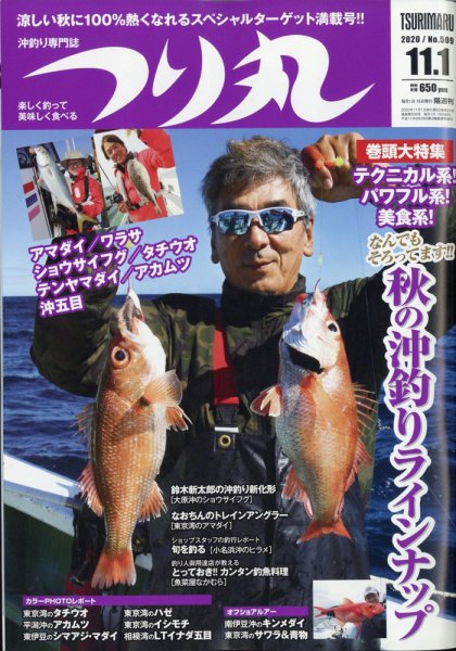 パチンコ必勝ガイド 11/7号 (発売日2010年10月07日) 表紙