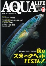 アクアライフ 11月号 (発売日2010年10月09日) 表紙