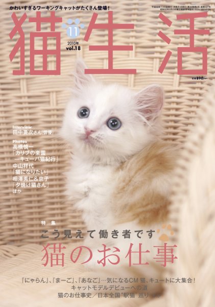 猫生活 2010年11月号 (発売日2010年10月12日) 表紙