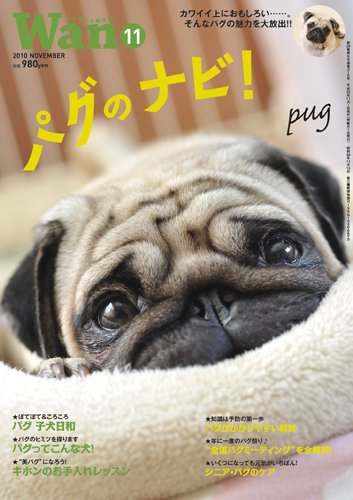 wan（わん） 2010年11月号 (発売日2010年10月14日) 表紙