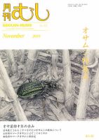 月刊むし 477 表紙