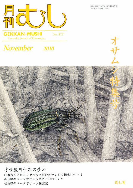 月刊むし 477 (発売日2010年10月22日) 表紙