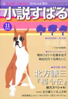 小説すばる 11月号 表紙