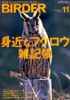 BIRDER（バーダー） 2010年11月号 表紙