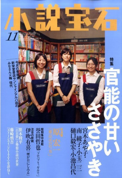 小説宝石 2010年11月号 (発売日2010年10月22日) 表紙