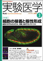 実験医学 3月号 Vol.21 No.4 (発売日2003年02月01日) 表紙