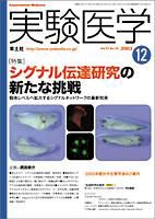 実験医学 12月号 Vol.21 No.18 (発売日2003年11月01日) 表紙