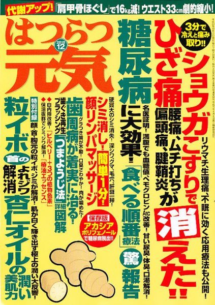 はつらつ元気 12月号 (発売日2010年11月02日) 表紙