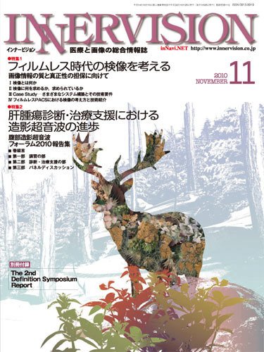 INNERVISION（インナービジョン） 2010年11月号 (発売日2010年11月01日) 表紙