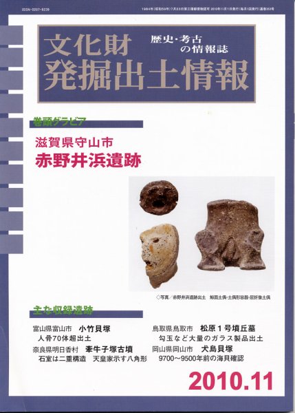 文化財発掘出土情報 11月号 (発売日2010年11月01日) 表紙