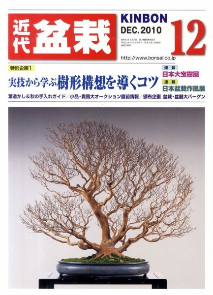 月刊 近代盆栽 12月号 (発売日2010年11月04日) 表紙