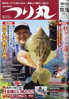 パチンコ必勝ガイド 11/21号 表紙
