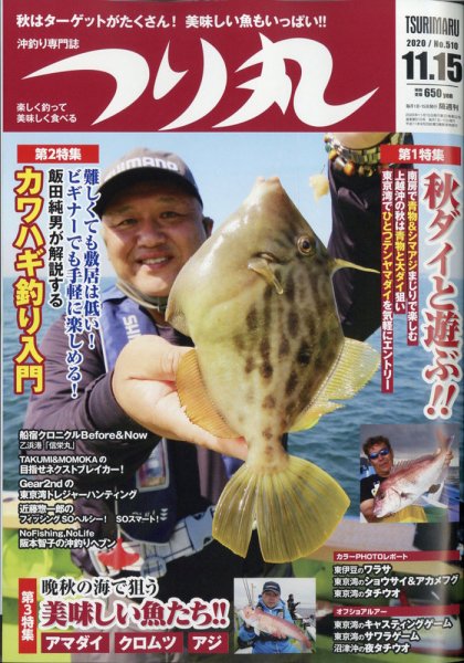 パチンコ必勝ガイド 11/21号 (発売日2010年10月21日) 表紙