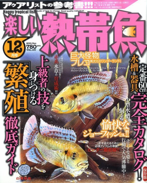 楽しい熱帯魚 12月号 (発売日2010年11月11日) 表紙